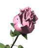 Аватар для Роза